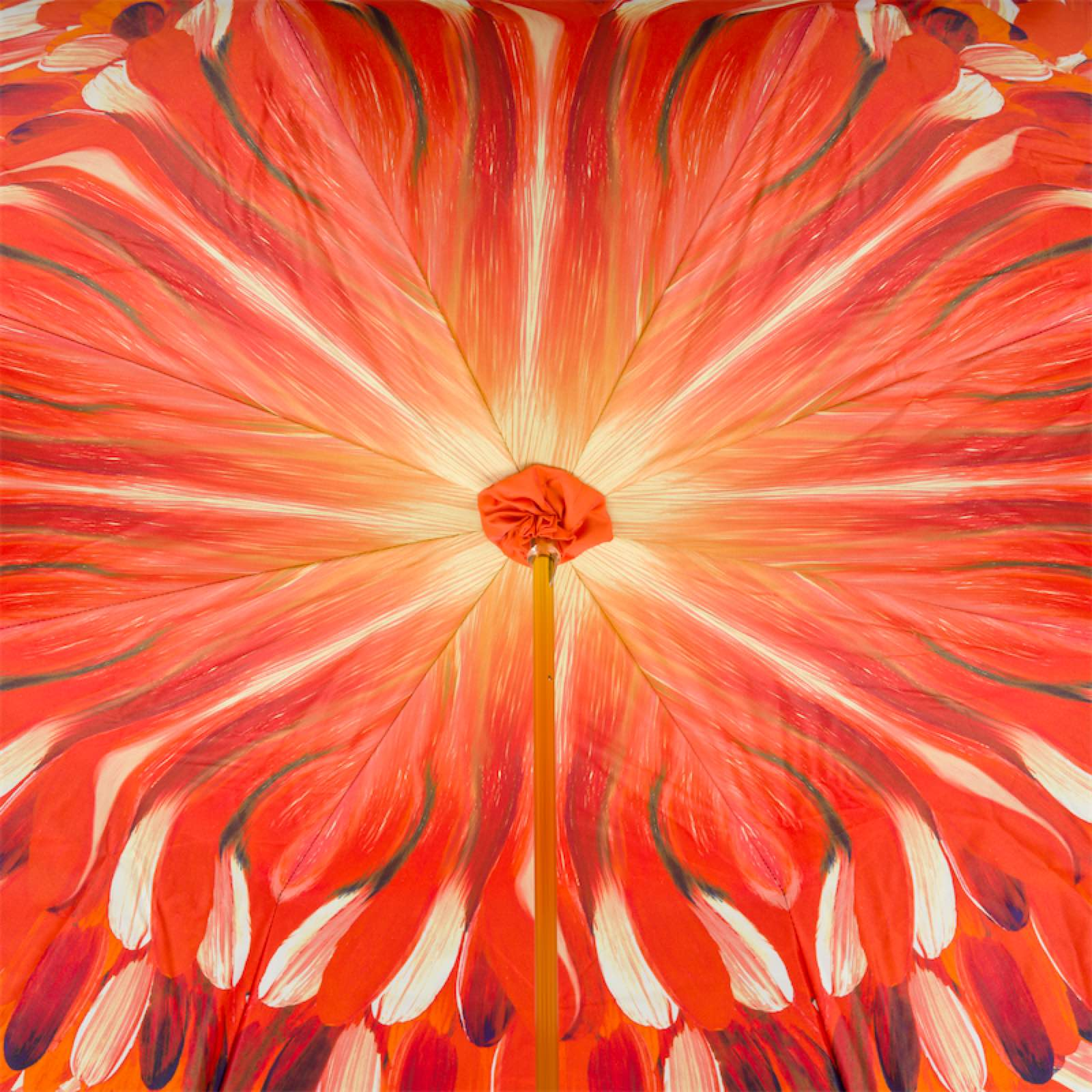 Toucan Umbrella – Manual Rain Umbrella With Enameled Brass Handle & Polyester Canopy