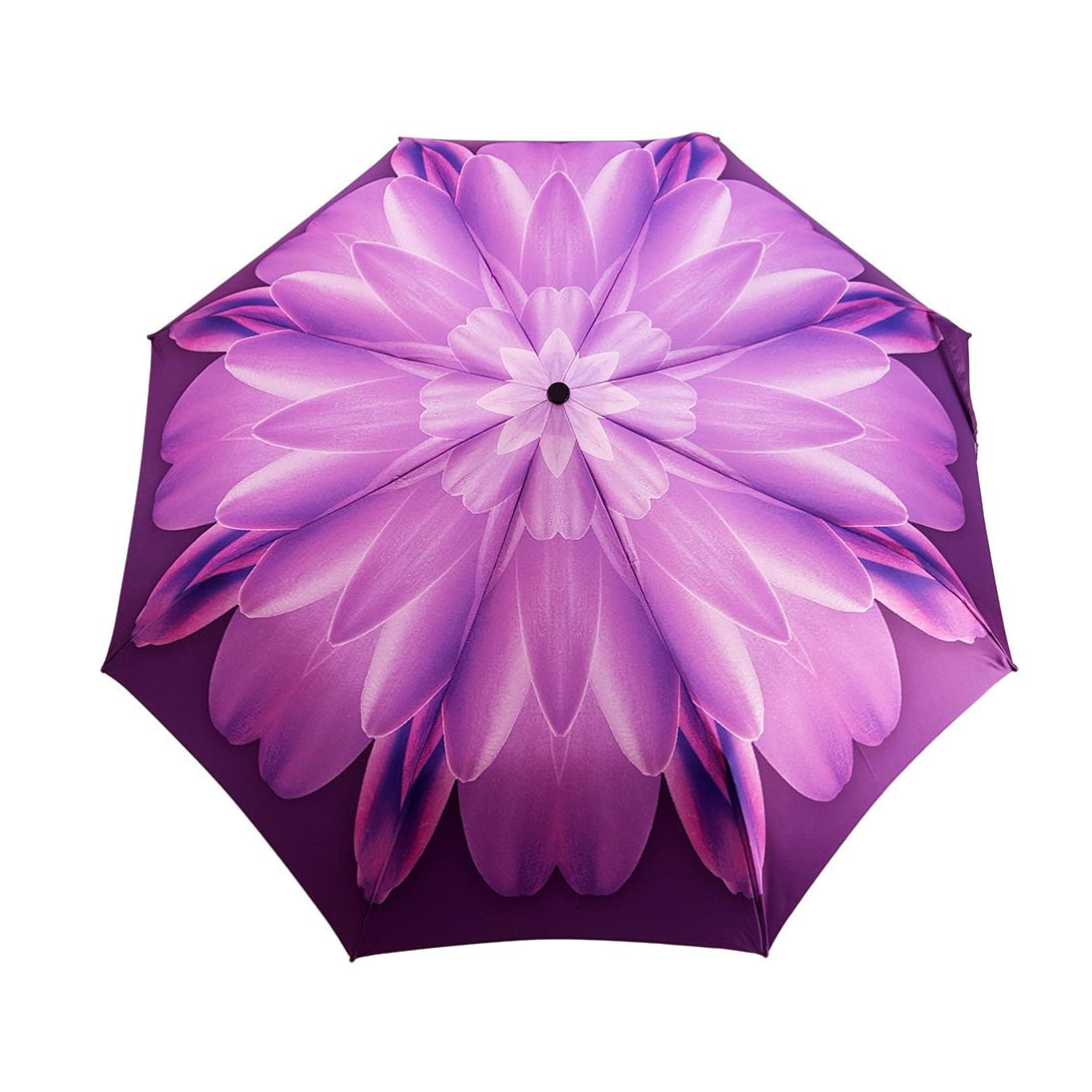Lilac Flower Women’s Folding Umbrella with Silver-Plated Handle