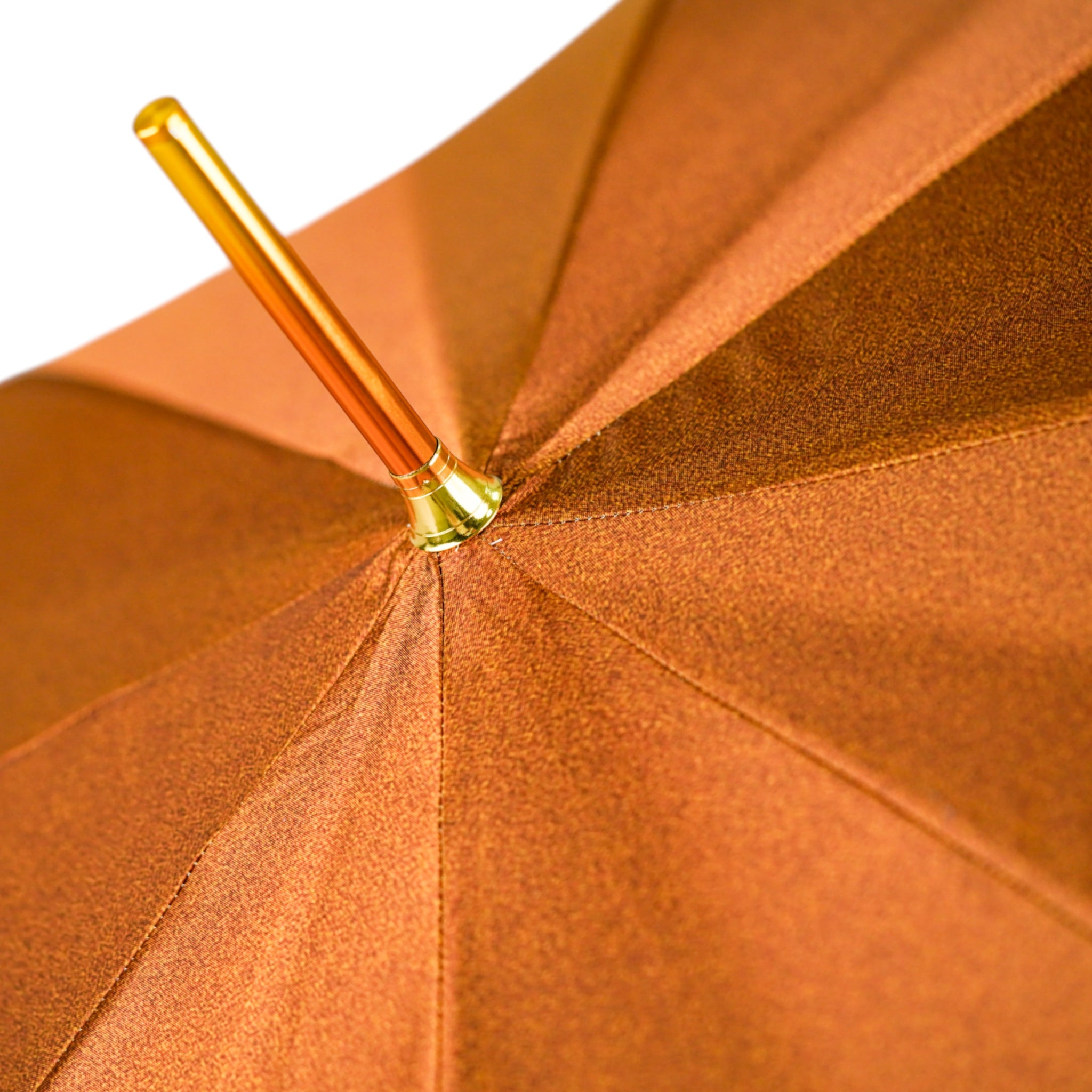 Luxury Umbrella - 24K Gold-Plated Lion Handle, Satin Canopy & Carbon Fiber Frame
