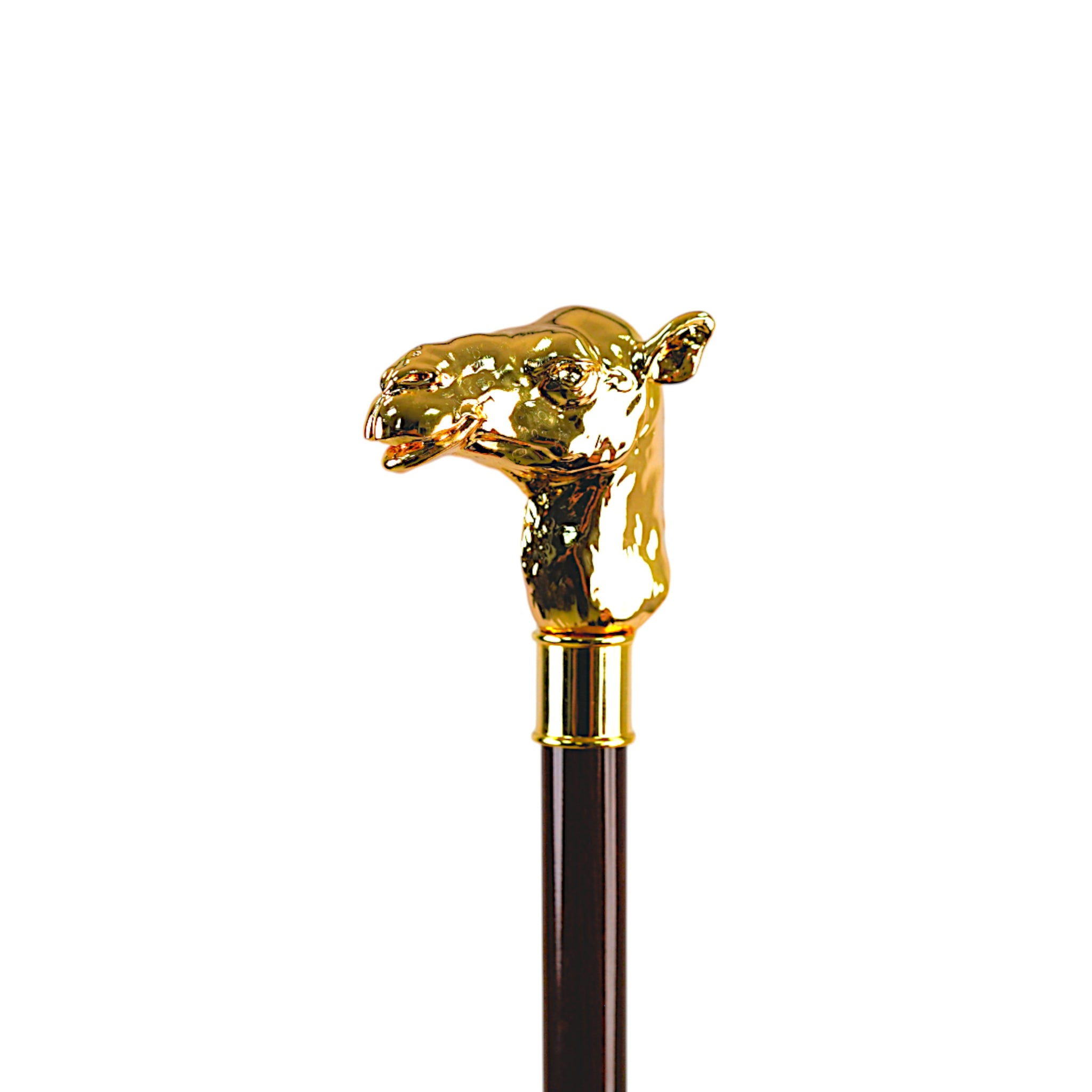Italian Walking Stick – Luxury Beechwood Cane with 24K Gold-Plated Camel Handle