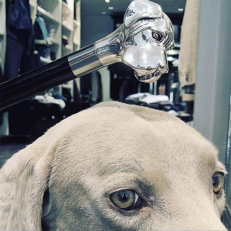 Silver Labrador Shoehorn - Handmade Long Handled Luxury Shoe Accessory