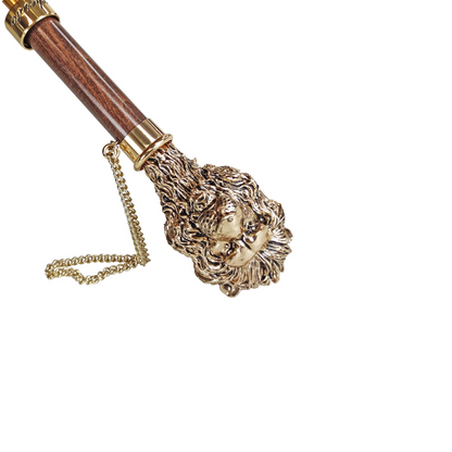 Elegant men's umbrella from Ilmarchesato's Lion Collection with gold-plated handle and designer detailing, open showing canopy design.