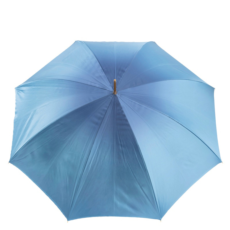 Blue Floral Umbrella – Manual Open Double Cloth Canopy with Jeweled Brass Handle