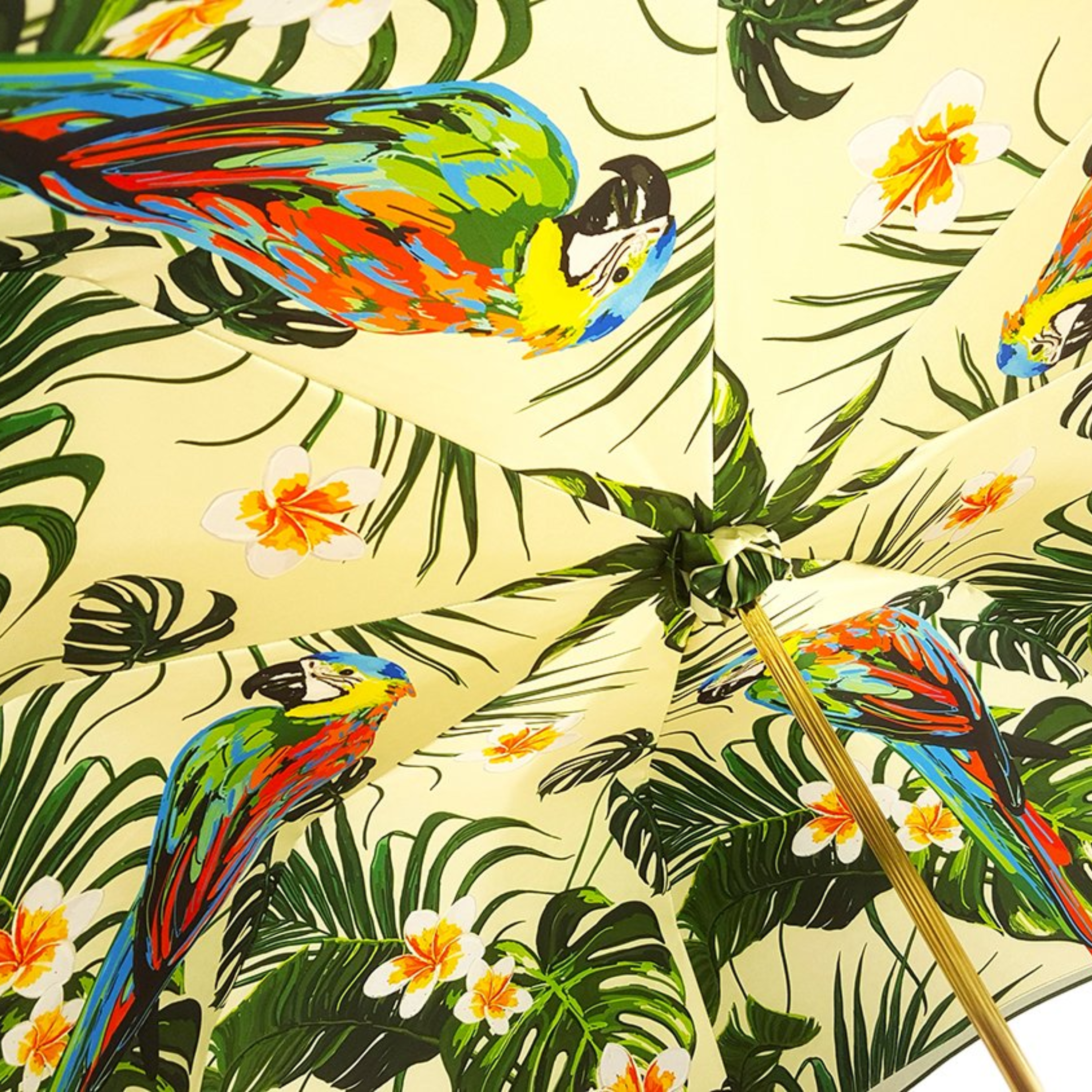 Ilmarchesato parrot-inspired double canopy luxury umbrella for women, featuring vibrant colors and elegant design.