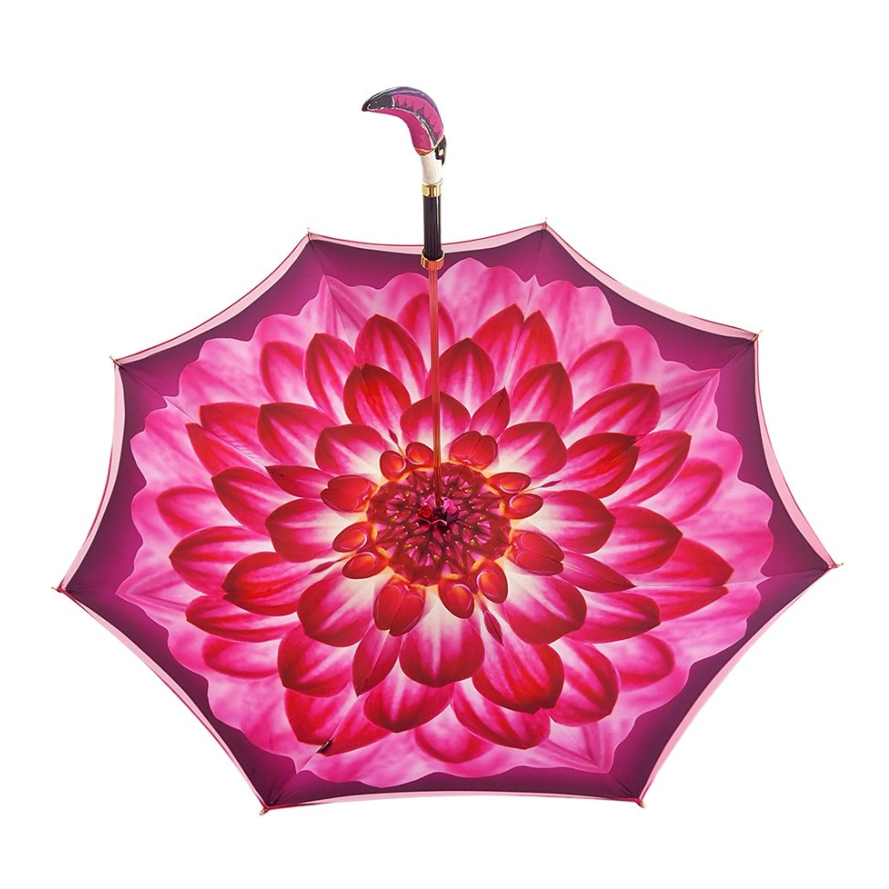 Ilmarchesato double canopy toucan rain umbrella with gradient fuchsia design, featuring a colorful toucan pattern on the canopy.