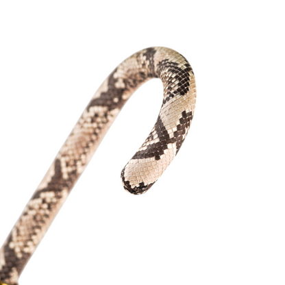 Designer Python Umbrella – Luxury Rain Protection Gear With Satin Canopy & Leather Handle