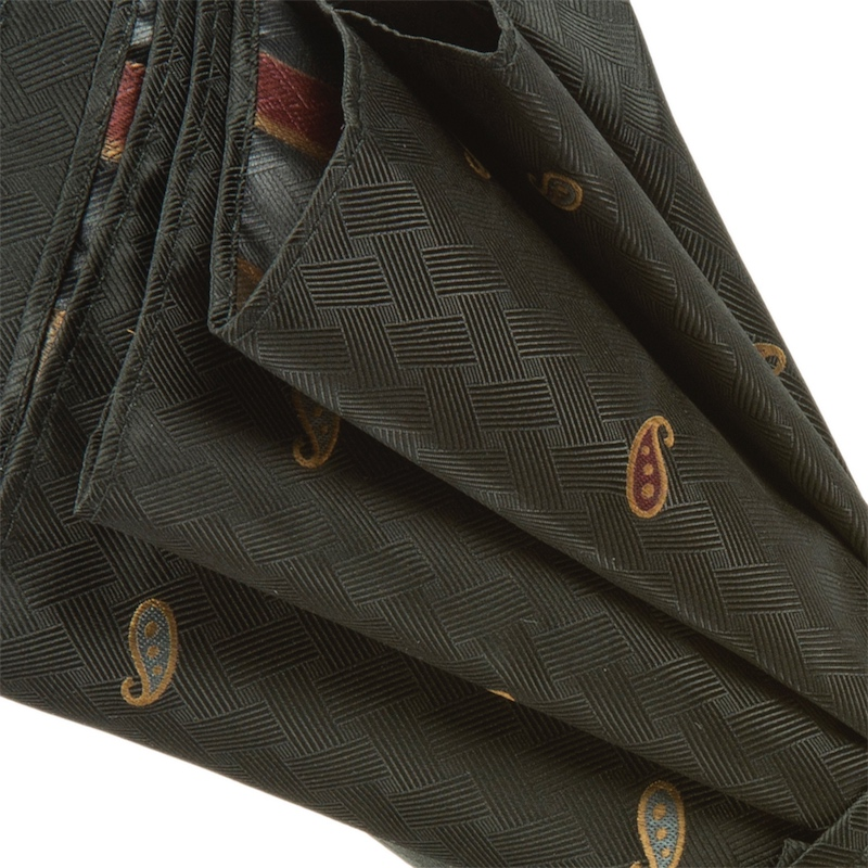 Paisley Umbrella – Automatic Open Buffalo Horn Handle, Durable Rain Protection