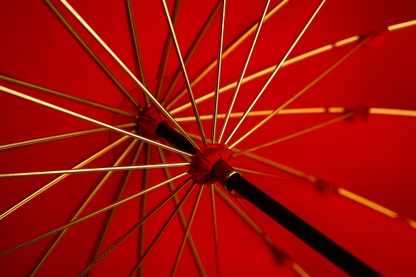 Designer Red Umbrella – Limited Edition Luxury Rain Umbrella with Jeweled Panther Handle