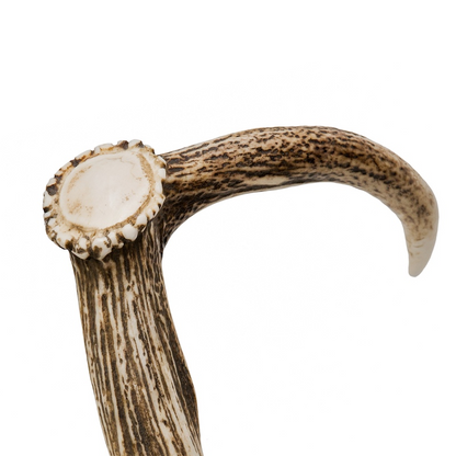 Luxury Deer Antler Cane - Handmade Chestnut Wood Shaft with Durable Horn Tip