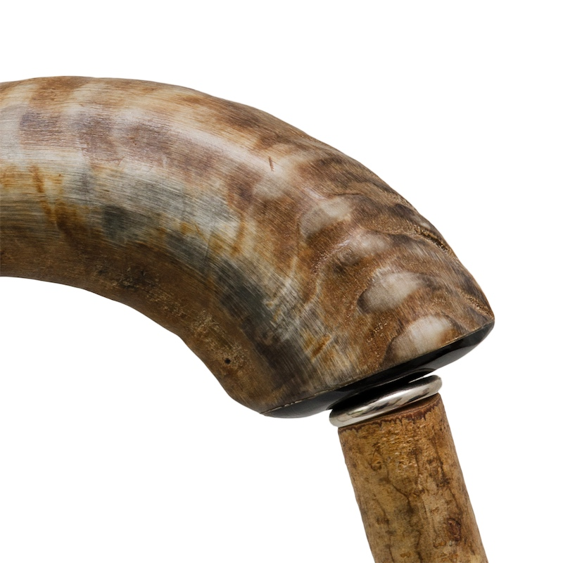 Luxury Walking Cane – Handmade Mutton Horn Cane with Hazel Wood Shaft & Rubber Tip