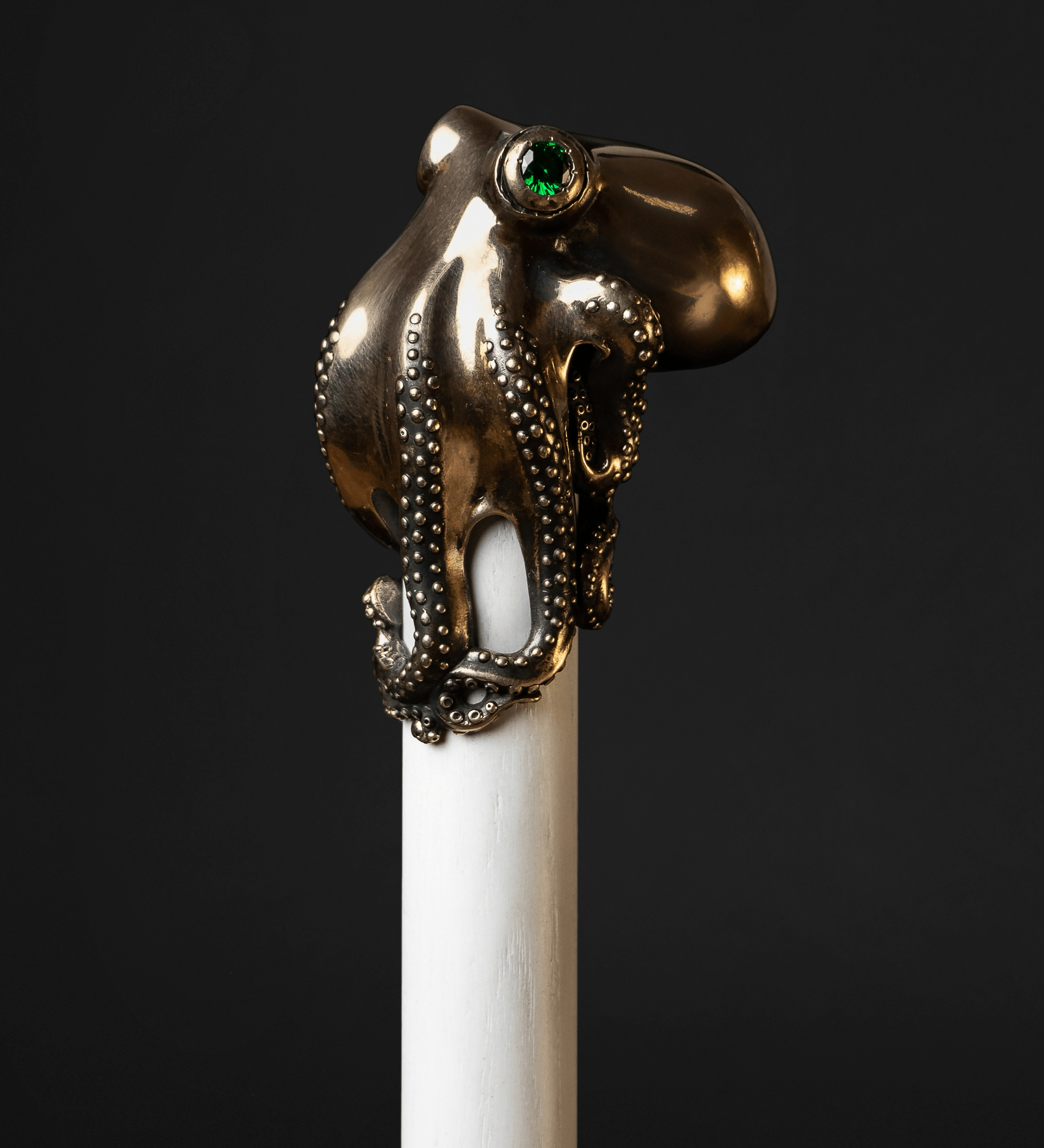 brass octopus walking stick