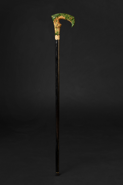 collapsible style walking stick
